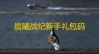 晨曦战纪新手礼包码